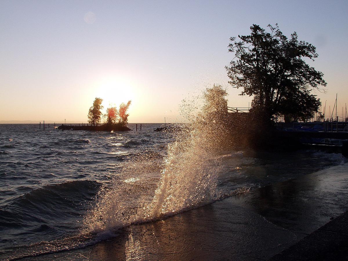 Park - Hotel Inseli Romanshorn Bagian luar foto